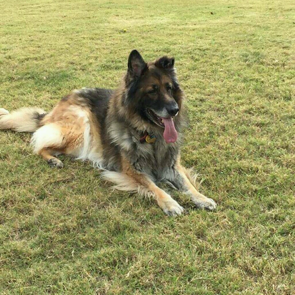 Meet your Posher, Arthur